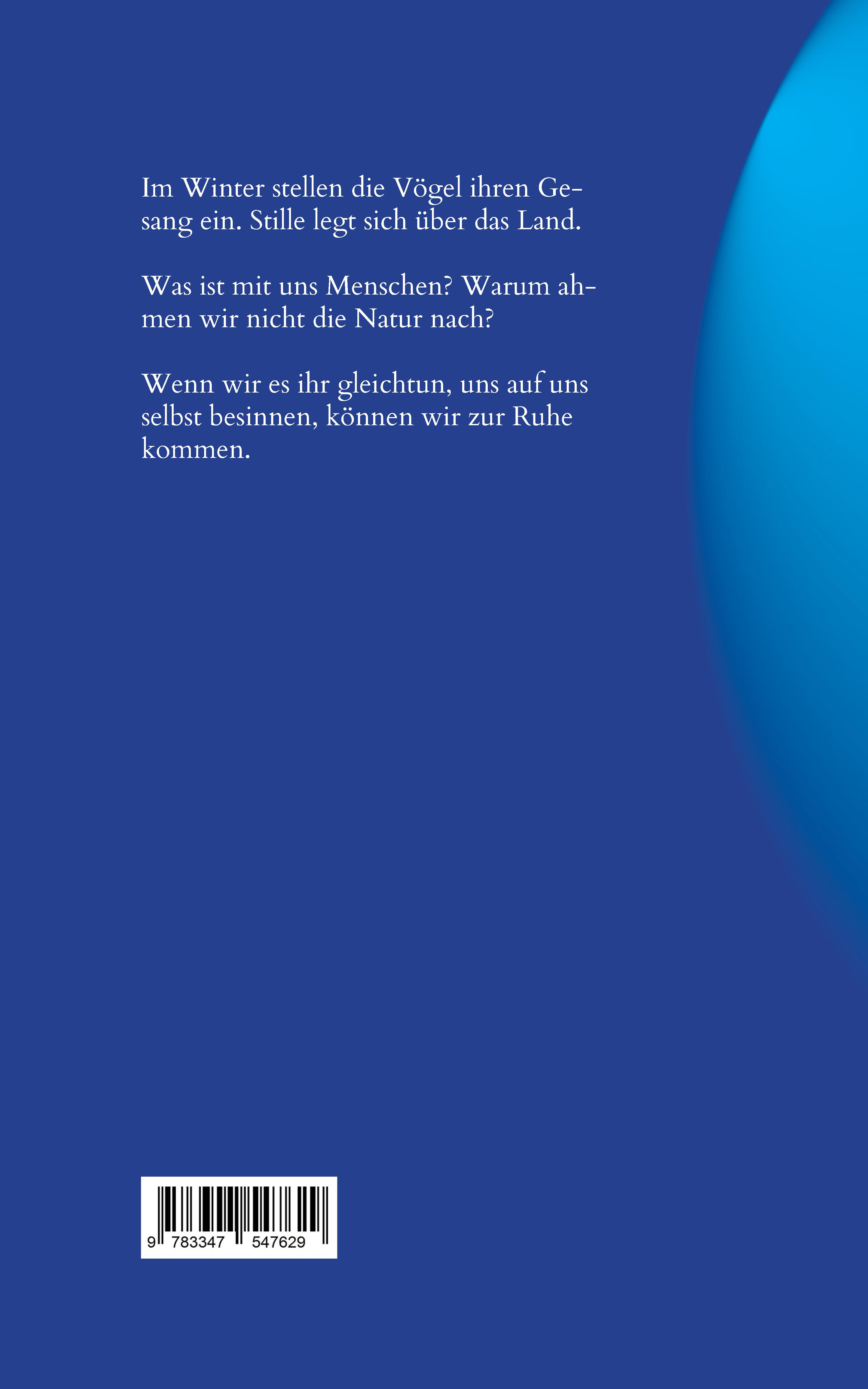 Rückseitencover winterstille