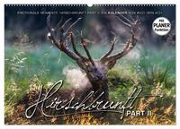 Vorderes Coverbild Emotionale Momente: Hirschbrunft. Part II. (Wandkalender 2025 DIN A2 quer), CALVENDO Monatskalender