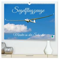 Vorderes Coverbild Meister in der Schwebe: Segelflugzeuge (hochwertiger Premium Wandkalender 2025 DIN A2 quer), Kunstdruck in Hochglanz