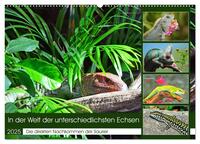 Vorderes Coverbild In der Welt der unterschiedlichsten Echsen (Wandkalender 2025 DIN A2 quer), CALVENDO Monatskalender