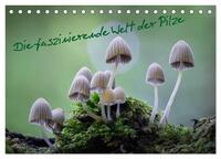 Vorderes Coverbild Die faszinierende Welt der Pilze (Tischkalender 2025 DIN A5 quer), CALVENDO Monatskalender