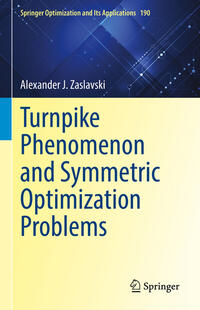Vorderes Coverbild Turnpike Phenomenon and Symmetric Optimization Problems