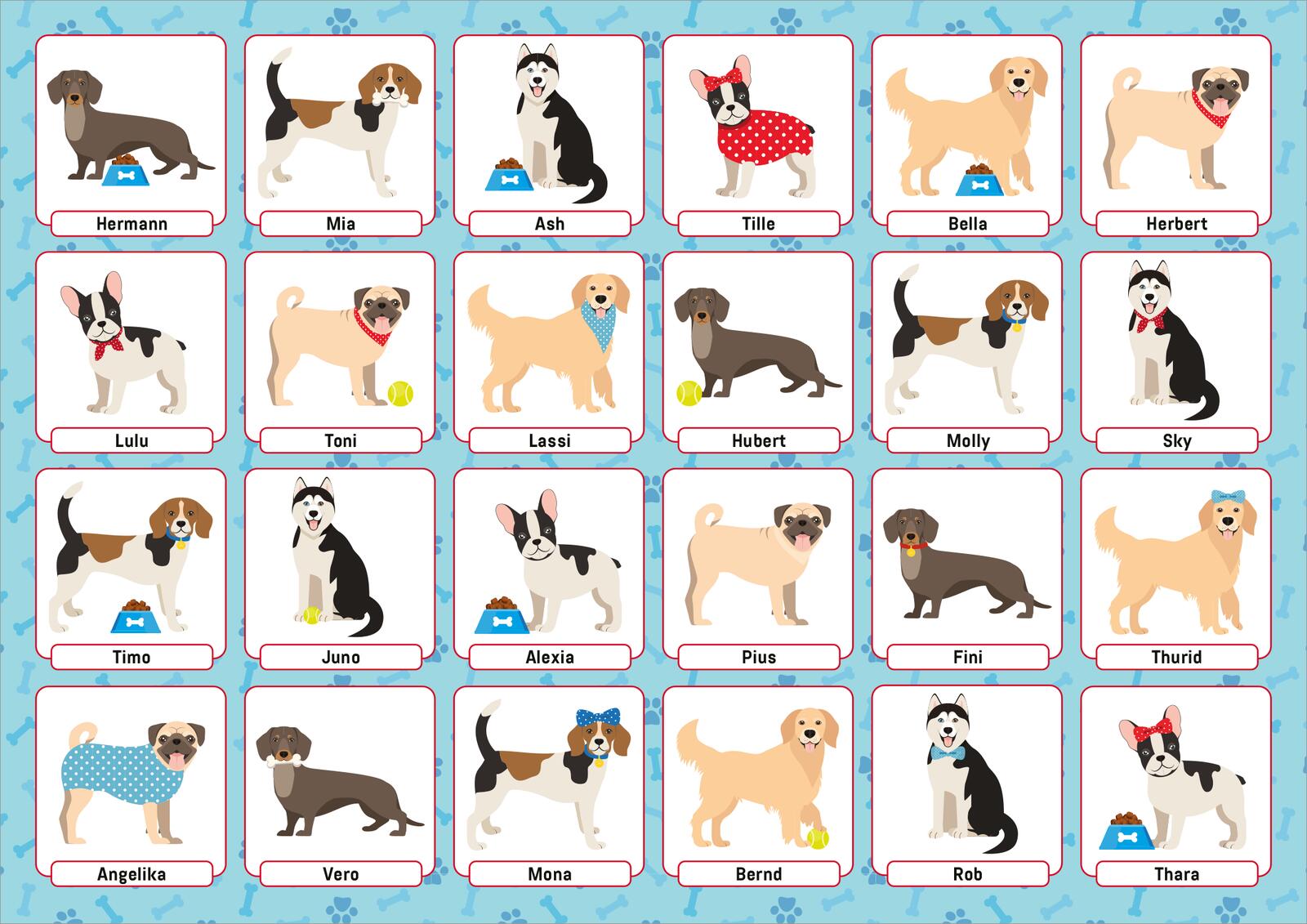 Beispielinhalt (Bild) Wer bin ich? Tiere