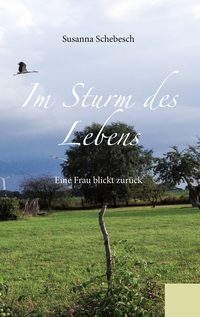 Vorderes Coverbild Im Sturm des Lebens