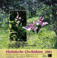 Vorderes Coverbild Heimische Orchideen II (2005)