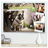 Vorderes Coverbild Französische Bulldoggen (hochwertiger Premium Wandkalender 2026 DIN A2 quer), Kunstdruck in Hochglanz