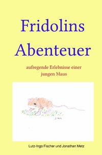 Vorderes Coverbild Fridolins Abenteuer