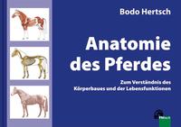 Vorderes Coverbild Anatomie des Pferdes