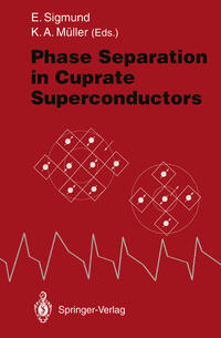 Vorderes Coverbild Phase Separation in Cuprate Superconductors