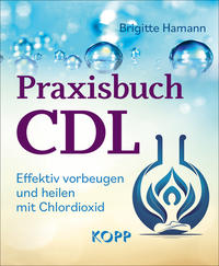 Vorderes Coverbild Praxisbuch CDL