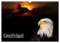 Vorderes Coverbild Greifvögel (Wandkalender 2025 DIN A3 quer), CALVENDO Monatskalender