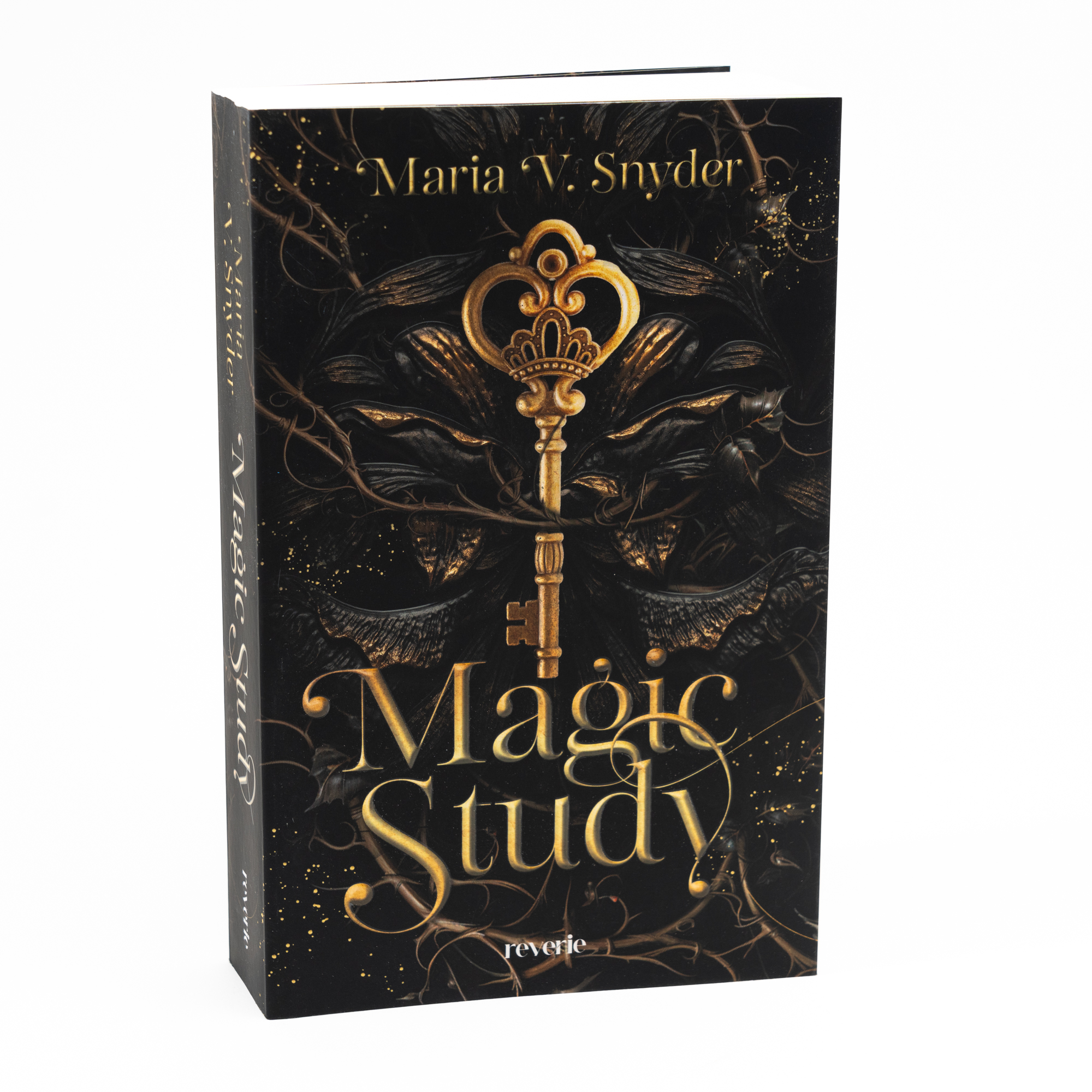 Beispielinhalt (Bild) Magic Study