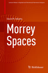 Vorderes Coverbild Morrey Spaces