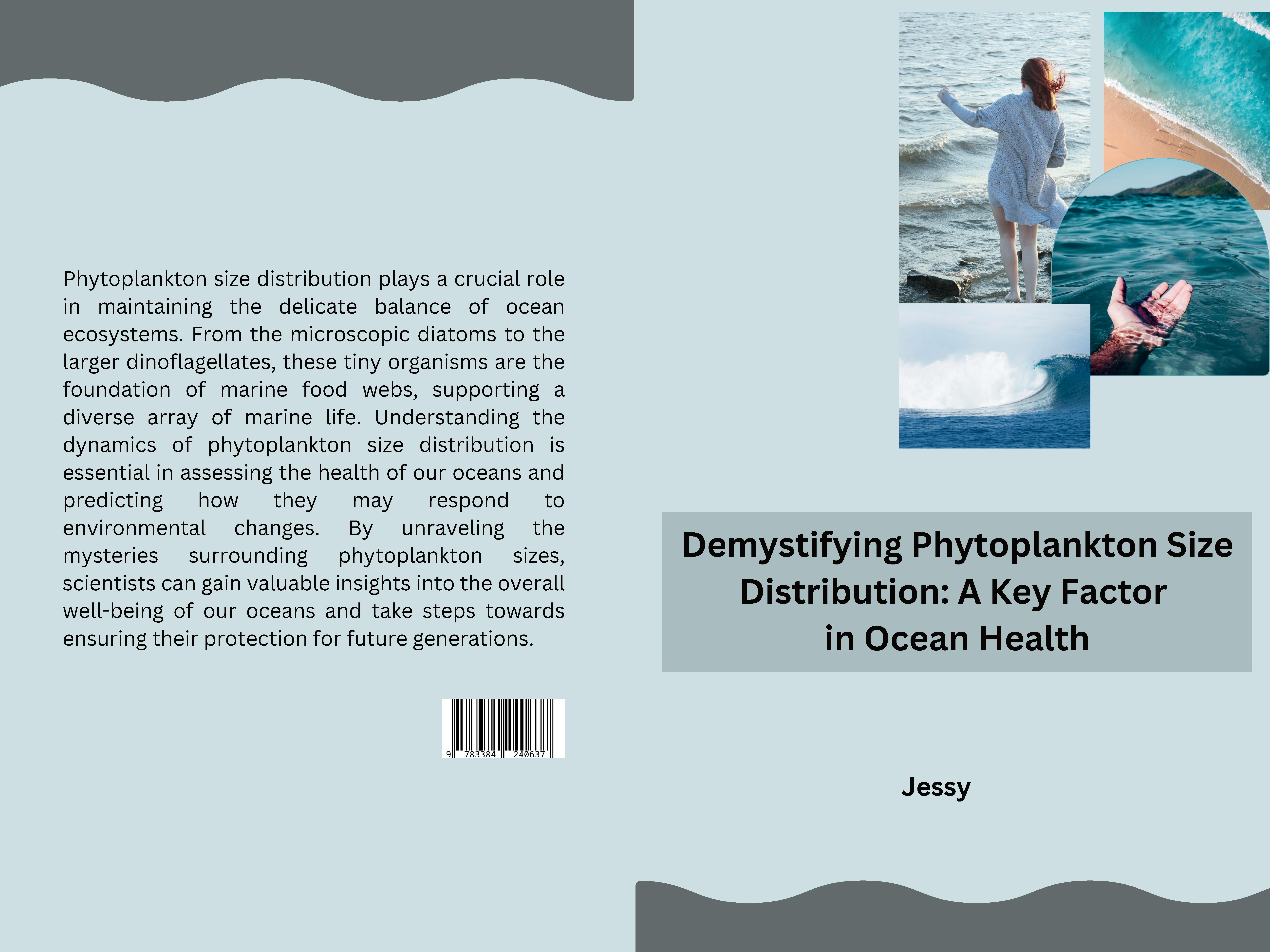Gesamtes Coverbild Demystifying Phytoplankton Size Distribution: A Key Factor in Ocean Health