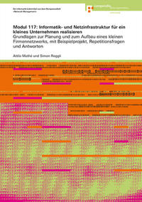 Vorderes Coverbild Modul 117: Informatik- und Netzinfrastruktur für ein kleines Unternehmen realisieren