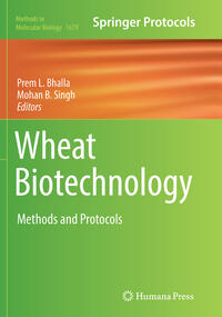 Vorderes Coverbild Wheat Biotechnology