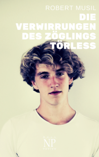 Vorderes Coverbild Die Verwirrungen des Zöglings Törless
