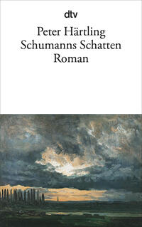Vorderes Coverbild Schumanns Schatten