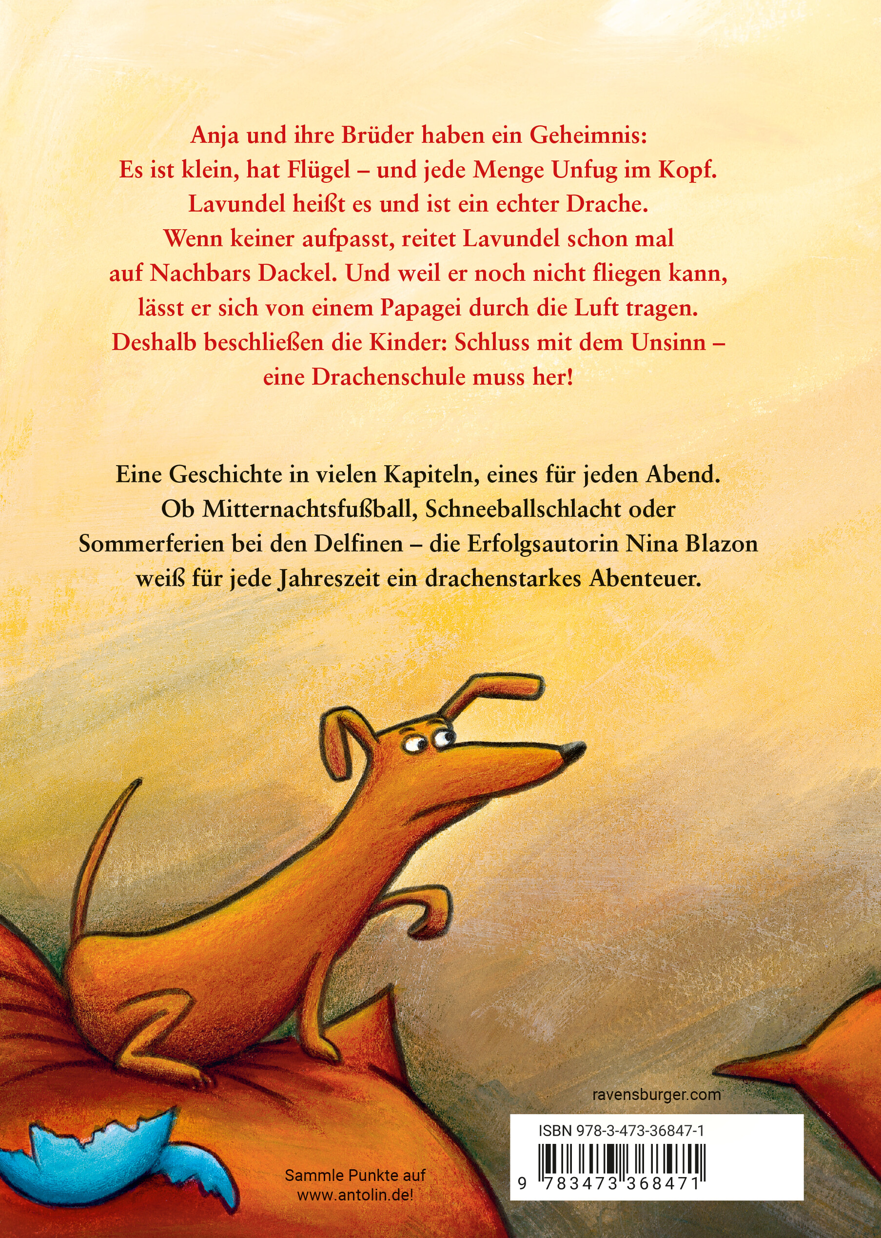 Rückseitencover Der Drache aus dem blauen Ei