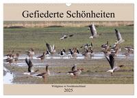 Vorderes Coverbild Gefiederte Schönheiten - Wildgänse in Norddeutschland (Wandkalender 2025 DIN A3 quer), CALVENDO Monatskalender