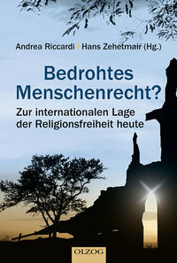 Vorderes Coverbild Bedrohtes Menschenrecht?