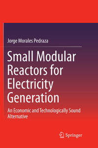 Vorderes Coverbild Small Modular Reactors for Electricity Generation