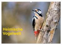 Vorderes Coverbild Heimische Vogelwelt (Wandkalender 2025 DIN A2 quer), CALVENDO Monatskalender