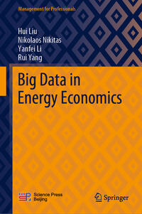 Vorderes Coverbild Big Data in Energy Economics