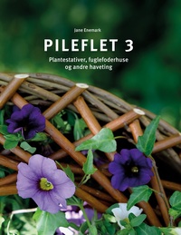 Vorderes Coverbild Pileflet 3