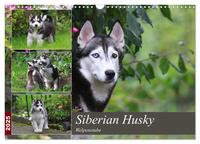 Vorderes Coverbild Siberian Husky - Welpenstube (Wandkalender 2025 DIN A3 quer), CALVENDO Monatskalender