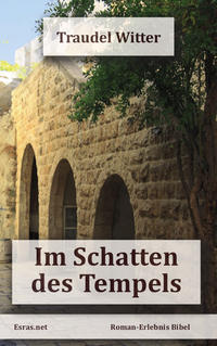 Vorderes Coverbild Im Schatten des Tempels