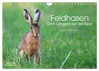 Vorderes Coverbild Feldhasen - dem Langohr auf der Spur (Wandkalender 2025 DIN A4 quer), CALVENDO Monatskalender