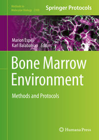 Vorderes Coverbild Bone Marrow Environment