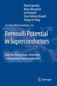 Vorderes Coverbild Bernoulli Potential in Superconductors