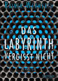 Vorderes Coverbild Das Labyrinth vergisst nicht