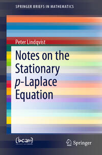 Vorderes Coverbild Notes on the Stationary p-Laplace Equation