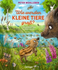 Vorderes Coverbild Wie werden kleine Tiere groß?