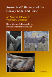 Vorderes Coverbild Anatomical Differences of the Donkey, Mule, and Horse