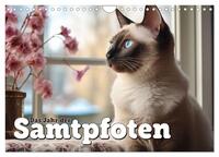 Vorderes Coverbild Das Jahr der Samtpfoten (Wandkalender 2025 DIN A4 quer), CALVENDO Monatskalender