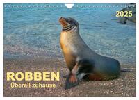 Vorderes Coverbild Robben - überall zuhause (Wandkalender 2025 DIN A4 quer), CALVENDO Monatskalender