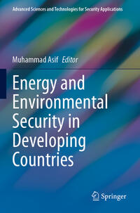 Vorderes Coverbild Energy and Environmental Security in Developing Countries