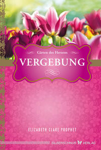 Vorderes Coverbild Vergebung