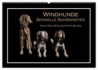 Vorderes Coverbild Windhunde - Schnelle Schönheiten (Wandkalender 2025 DIN A2 quer), CALVENDO Monatskalender