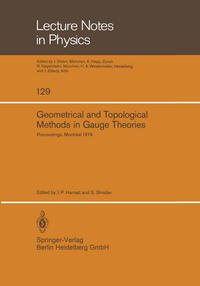 Vorderes Coverbild Geometrical and Topological Methods in Gauge Theories