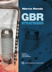 Vorderes Coverbild GBR Strategies
