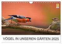 Vorderes Coverbild Vögel in unseren Gärten 2025 (Wandkalender 2025 DIN A4 quer), CALVENDO Monatskalender