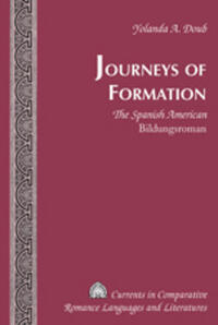 Vorderes Coverbild Journeys of Formation