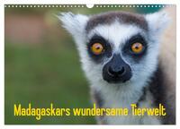Vorderes Coverbild Madagaskars wundersame Tierwelt (Wandkalender 2025 DIN A3 quer), CALVENDO Monatskalender