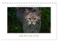 Vorderes Coverbild Emotionale Momente: Die Wildkatze. (Tischkalender 2025 DIN A5 quer), CALVENDO Monatskalender