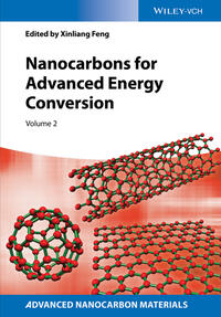 Vorderes Coverbild Nanocarbons for Advanced Energy Conversion